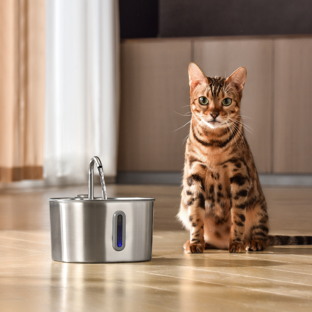 PurePaw — Wireless 2.2L Cat Water Fountain for Fresh Flow