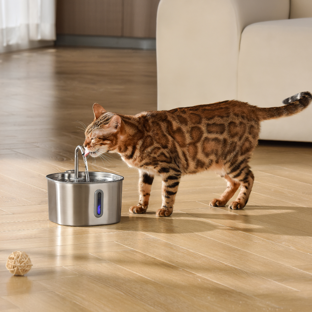 PurePaw — Wireless 2.2L Cat Water Fountain for Fresh Flow