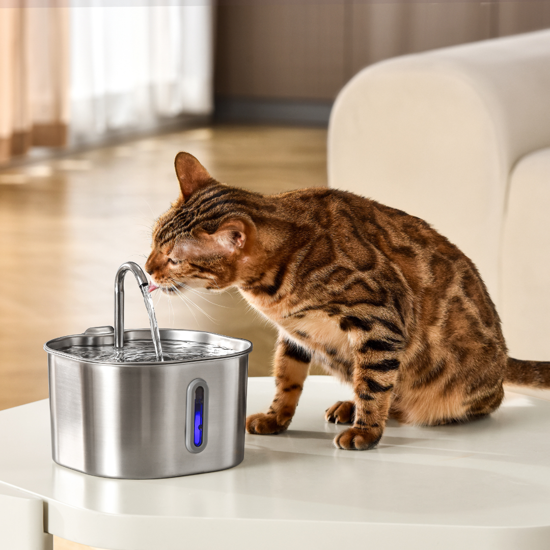 PurePaw — Wireless 2.2L Cat Water Fountain for Fresh Flow