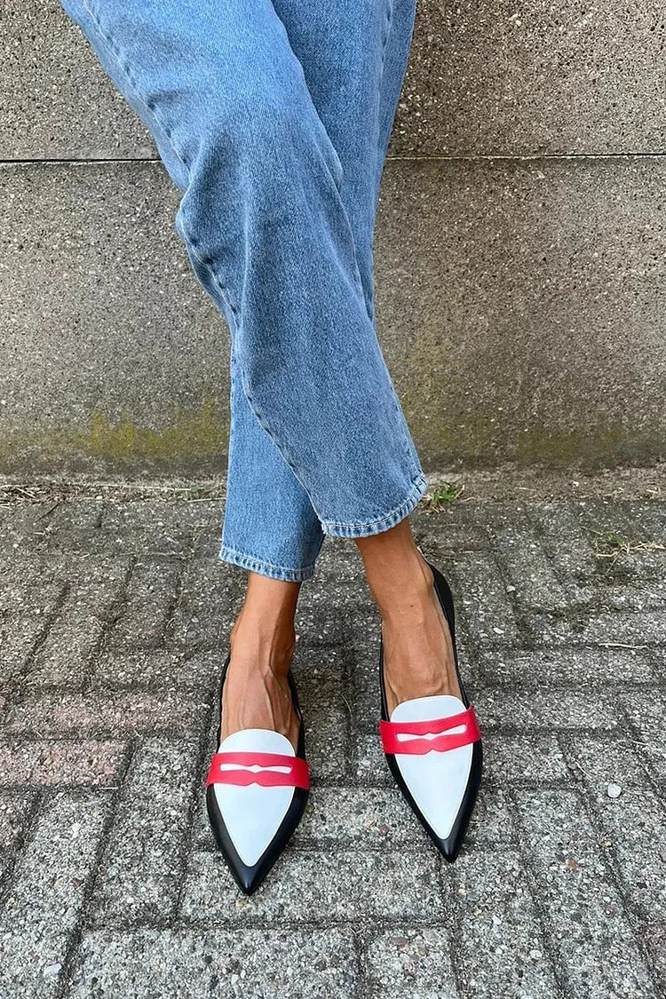 Women's Two-Tone Pointed Slippers - Elegant Everyday Style